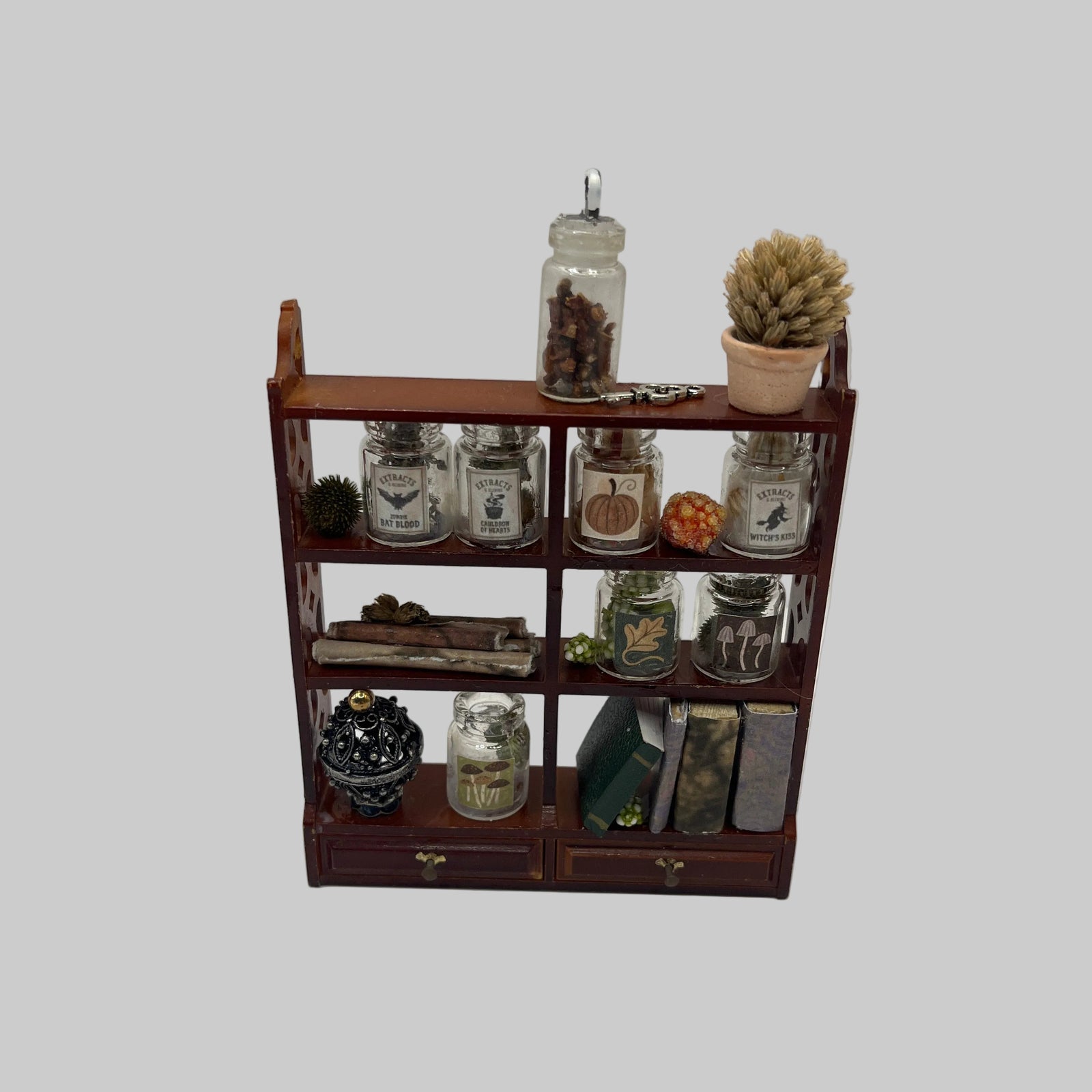 Dolls house apothecary shelves