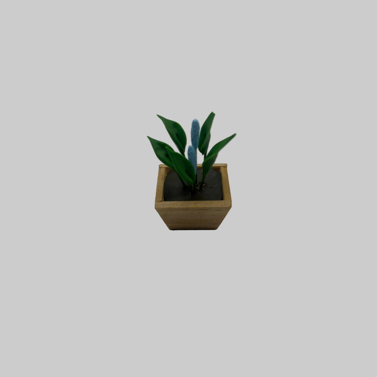 D2538 - Flower in square pot
