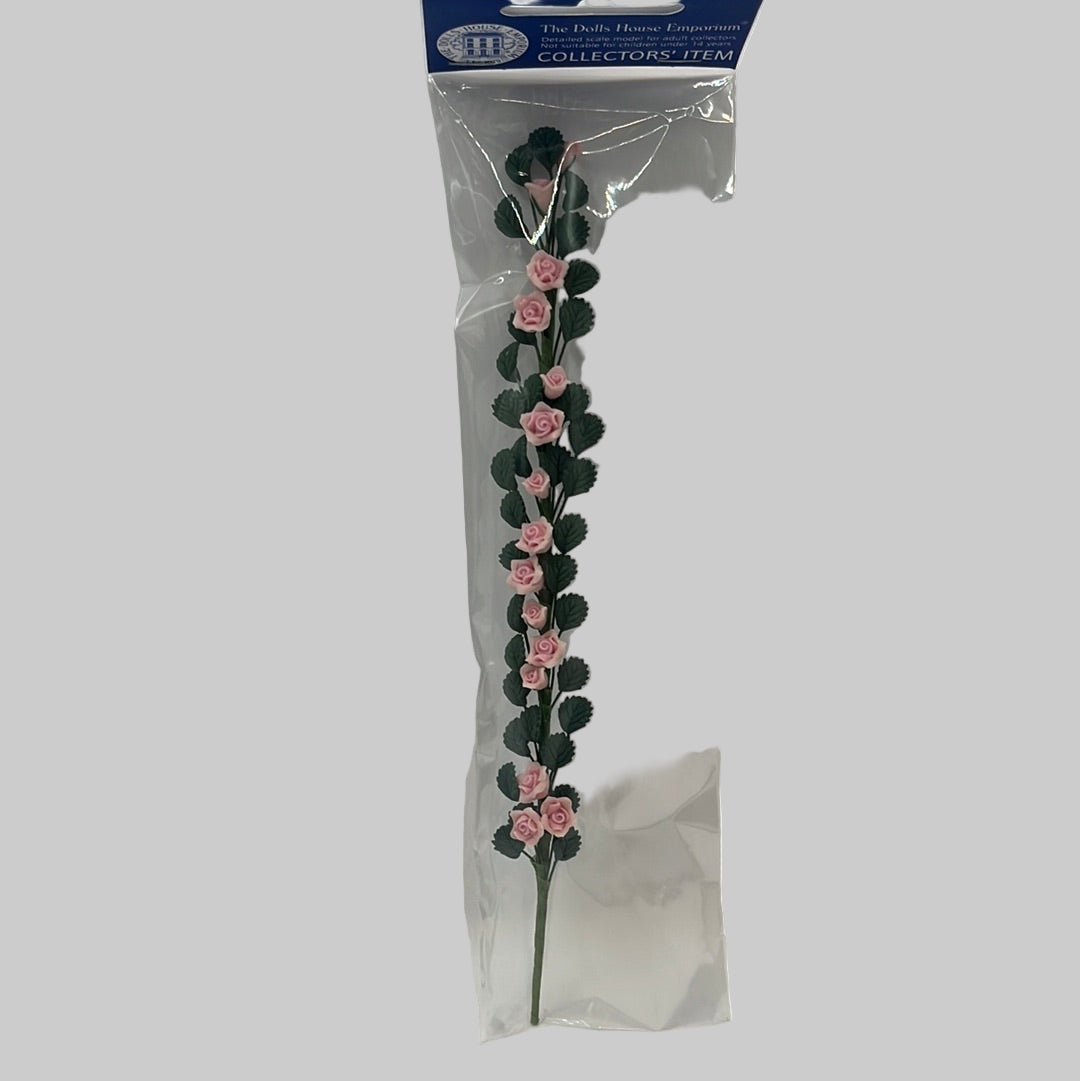 Pink climbing roses