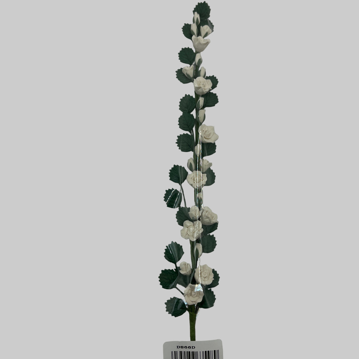 D866D - Climbing white roses