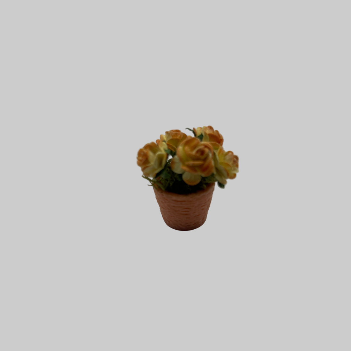 Pot of orange roses