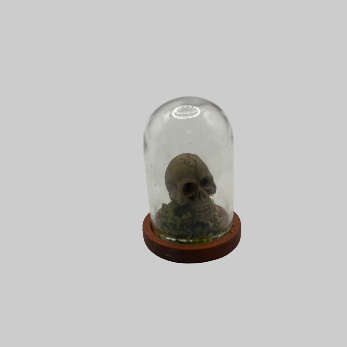 Spooky display dome