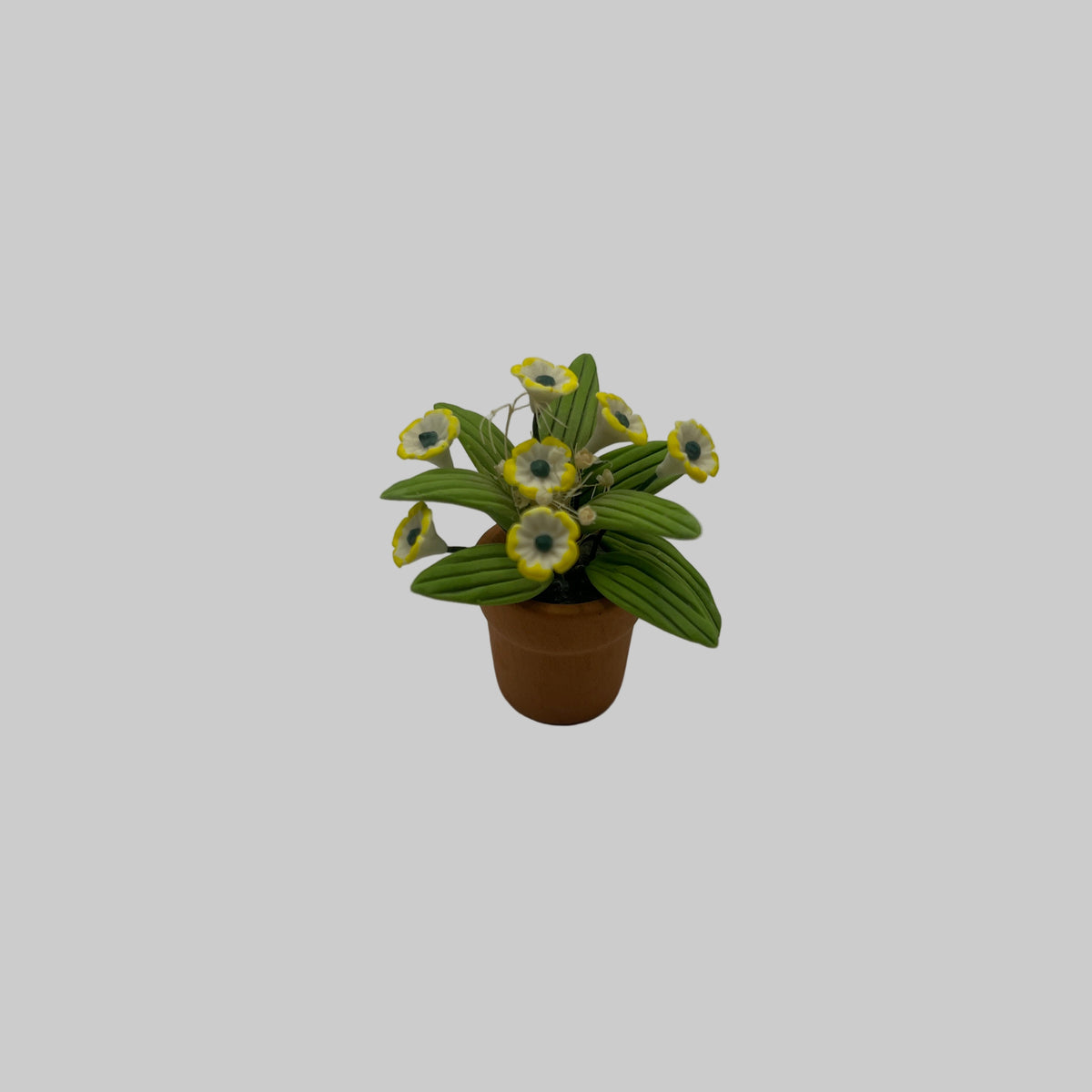 ACC119 - Potted flower