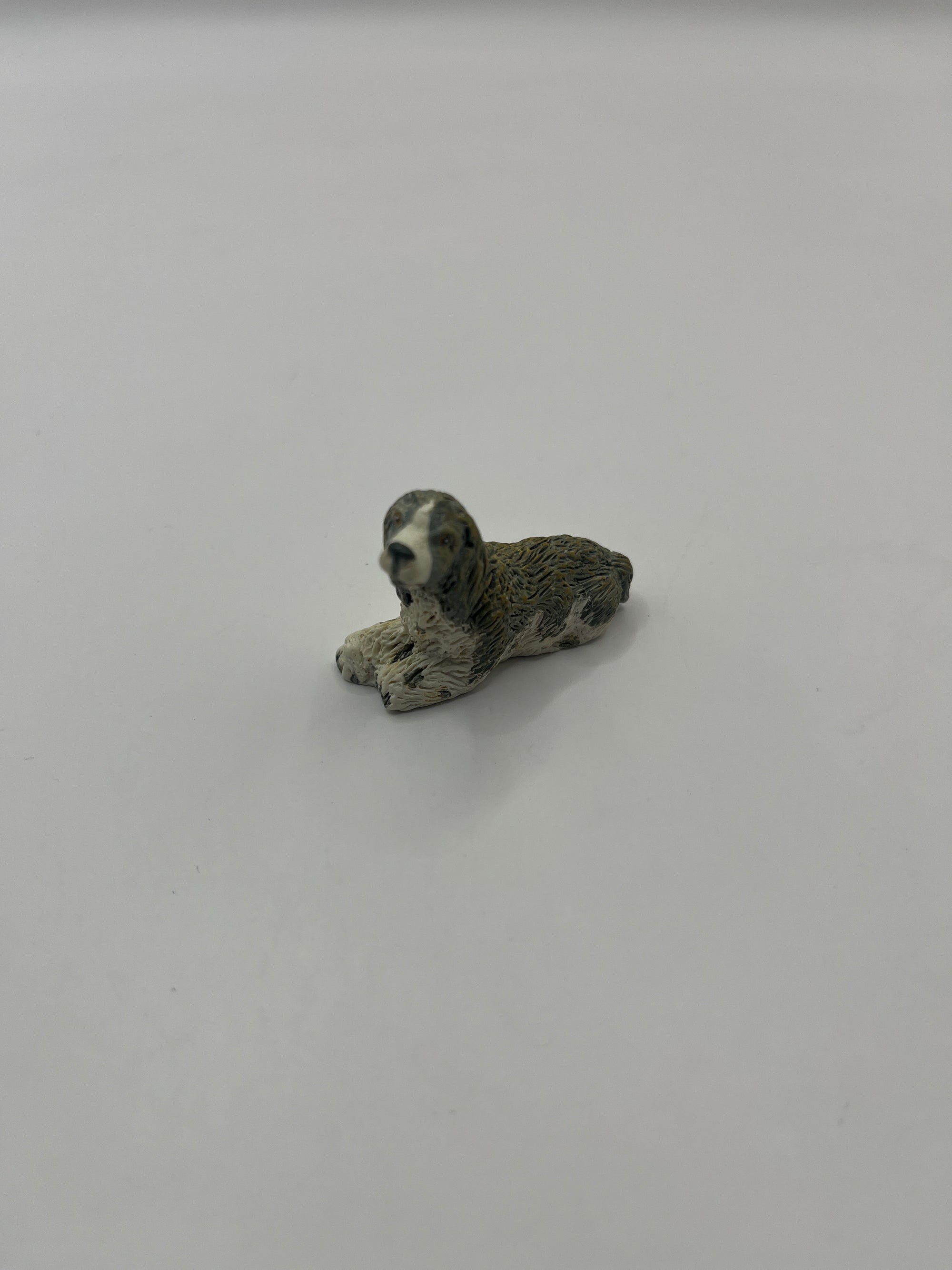 ACC147 - Pet dog