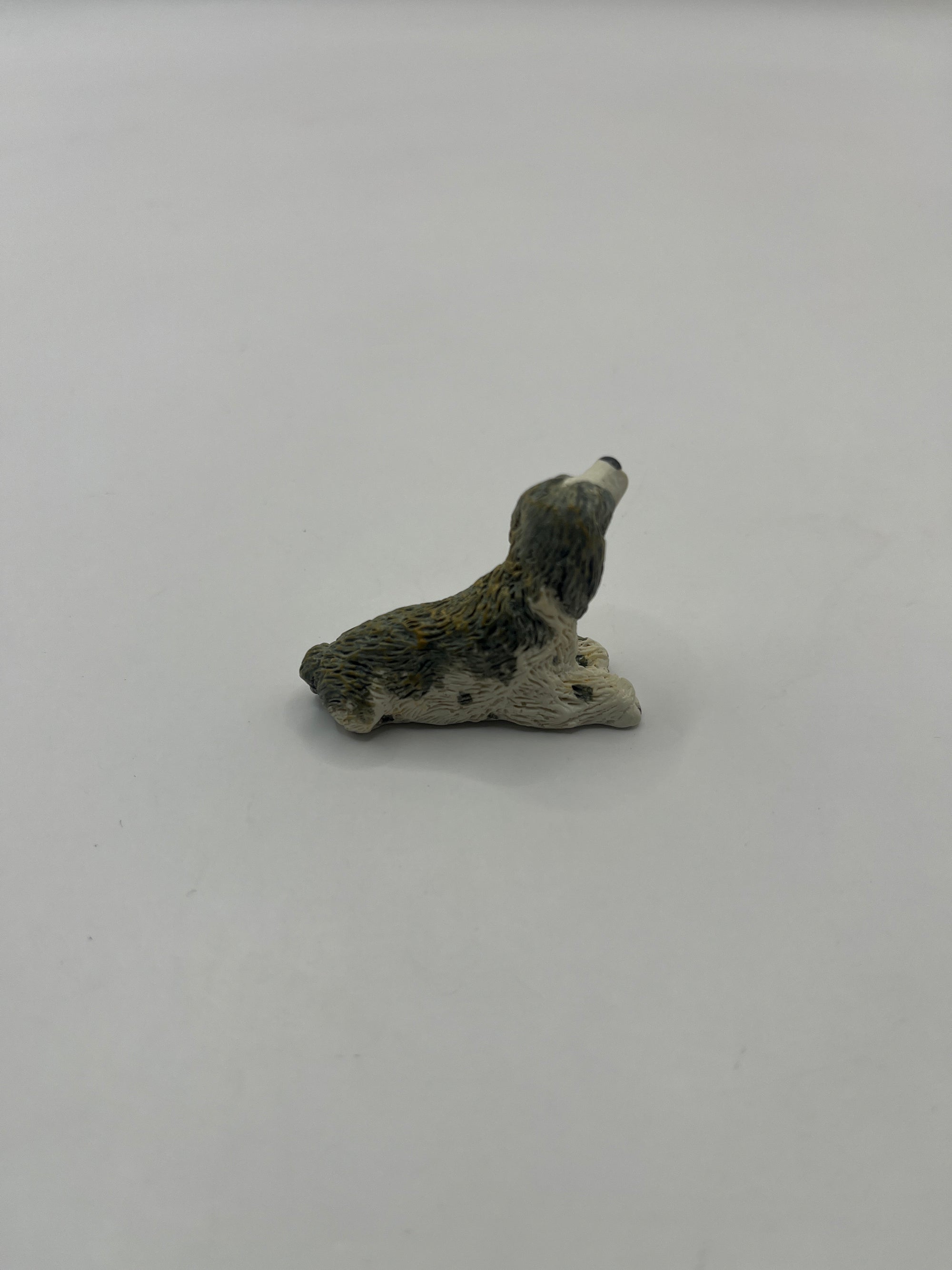 ACC147 - Pet dog