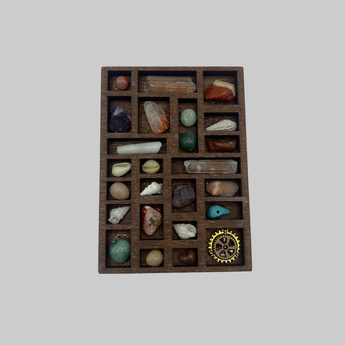 Collectors tray of curiosities