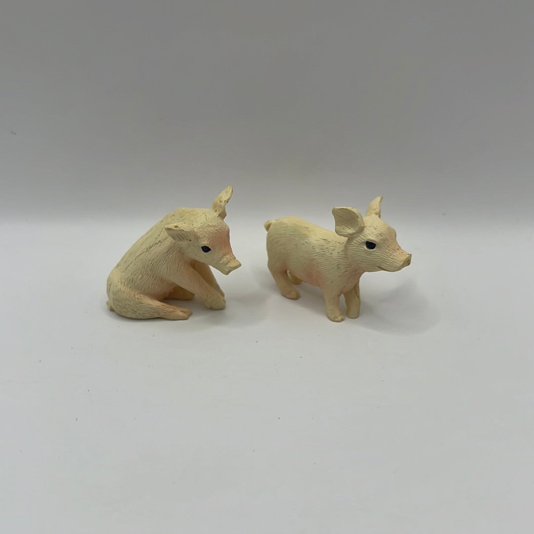 DA021 - Pet piglets