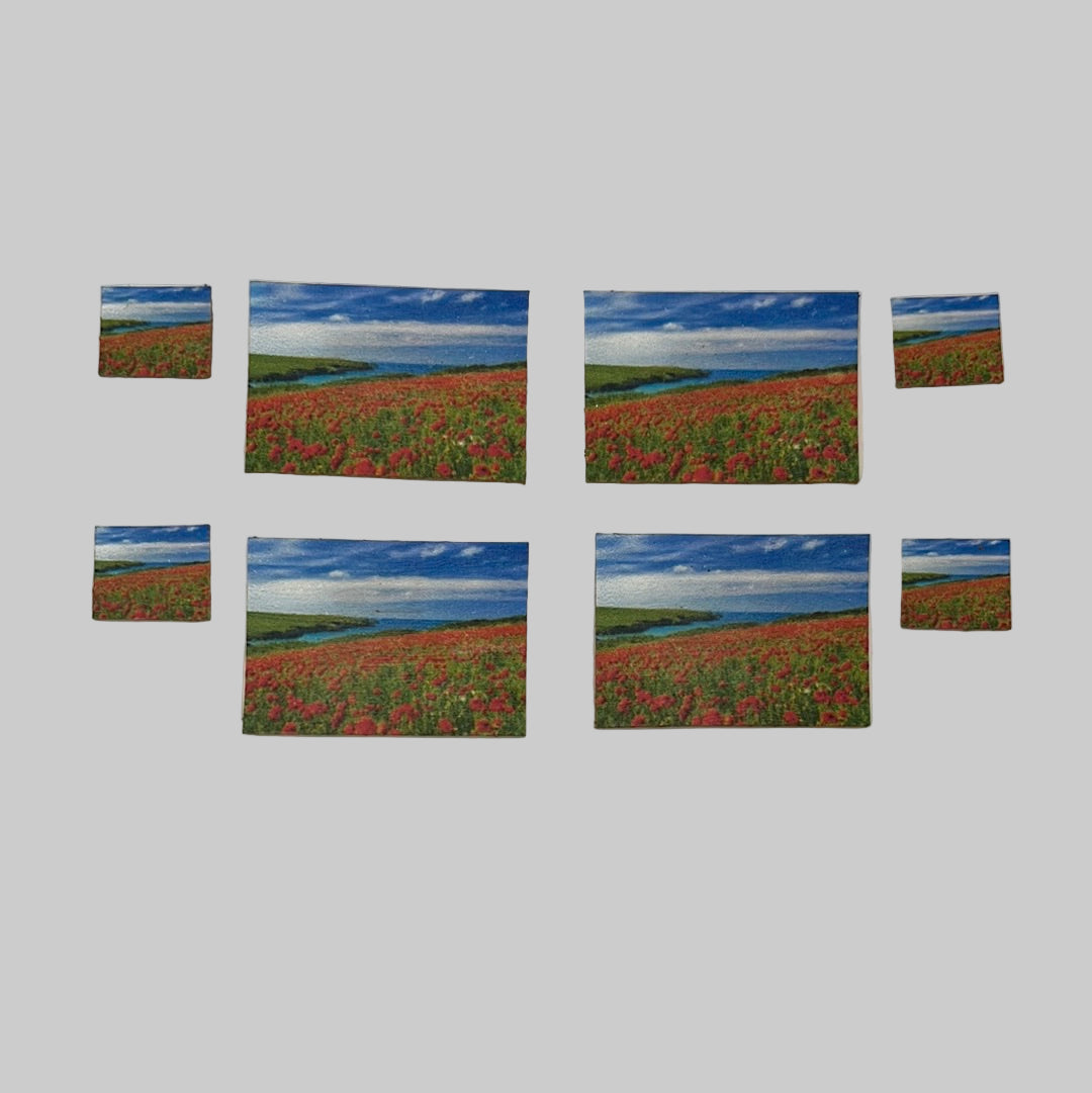 ZR151 - Cork placemats and coasters