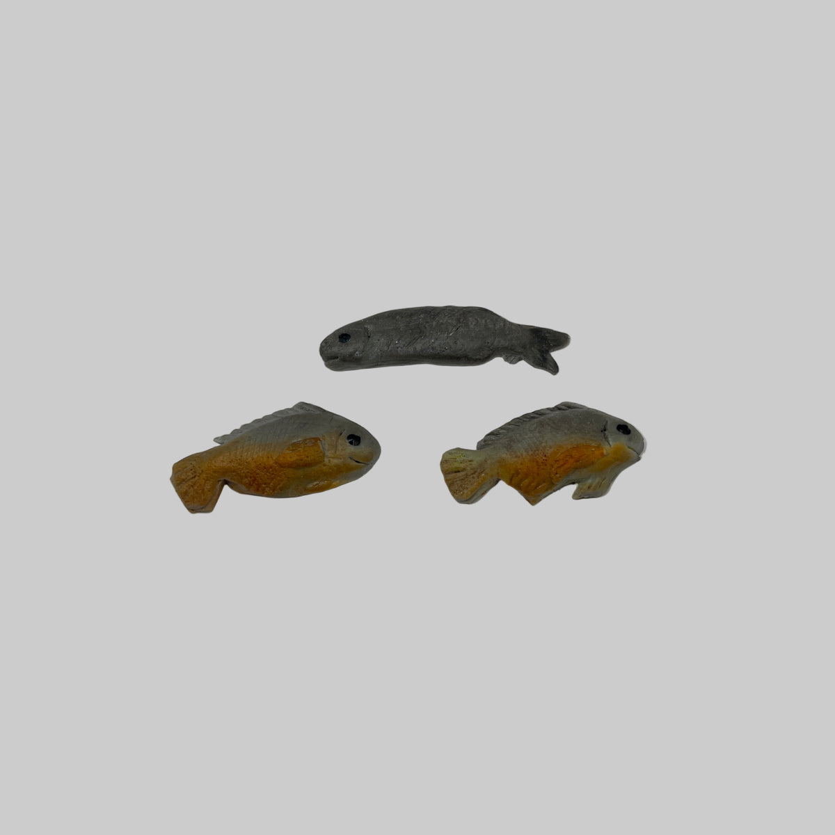 ZR050 - Fresh fish