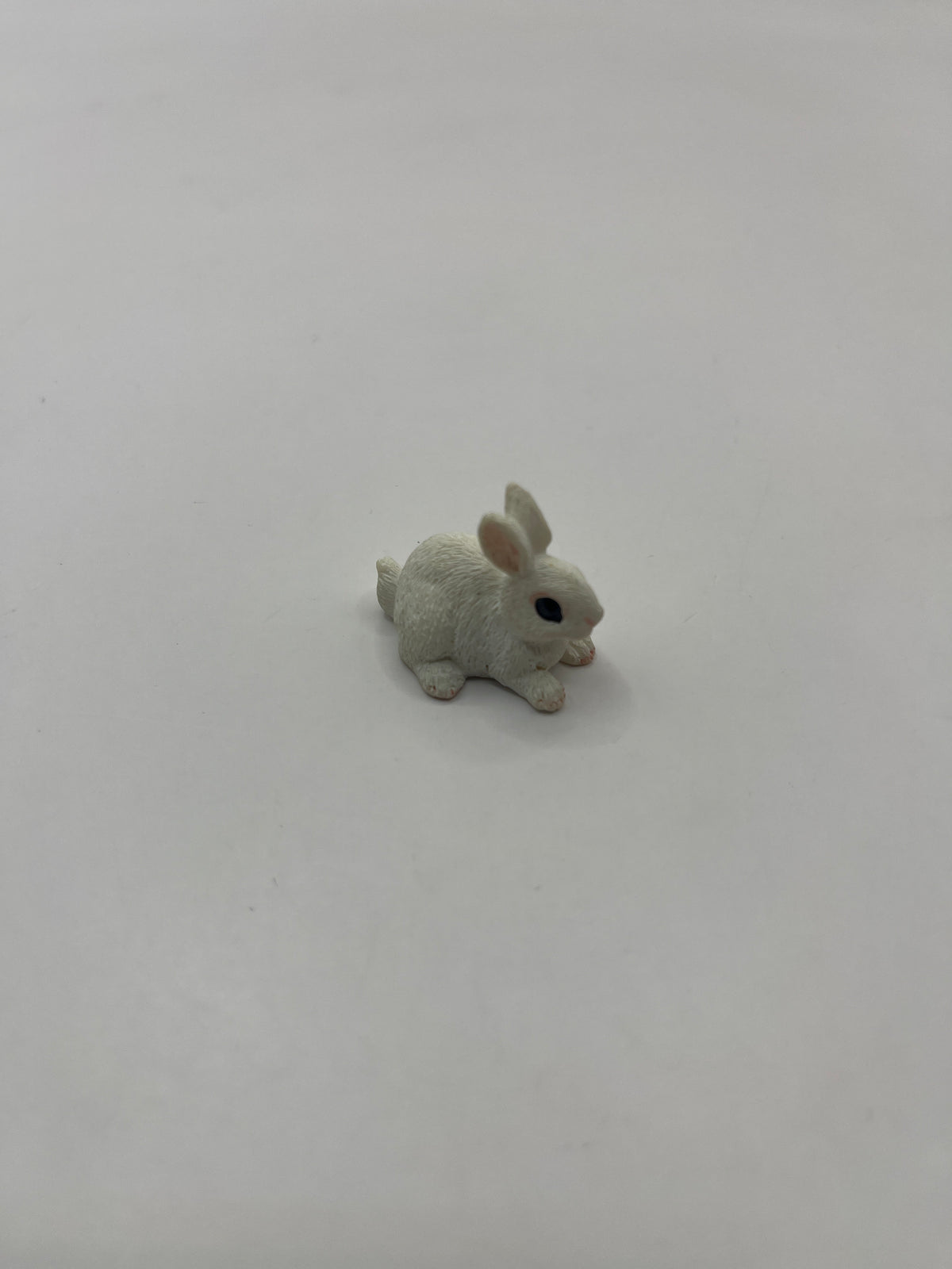 ACC145 - Pet rabbit