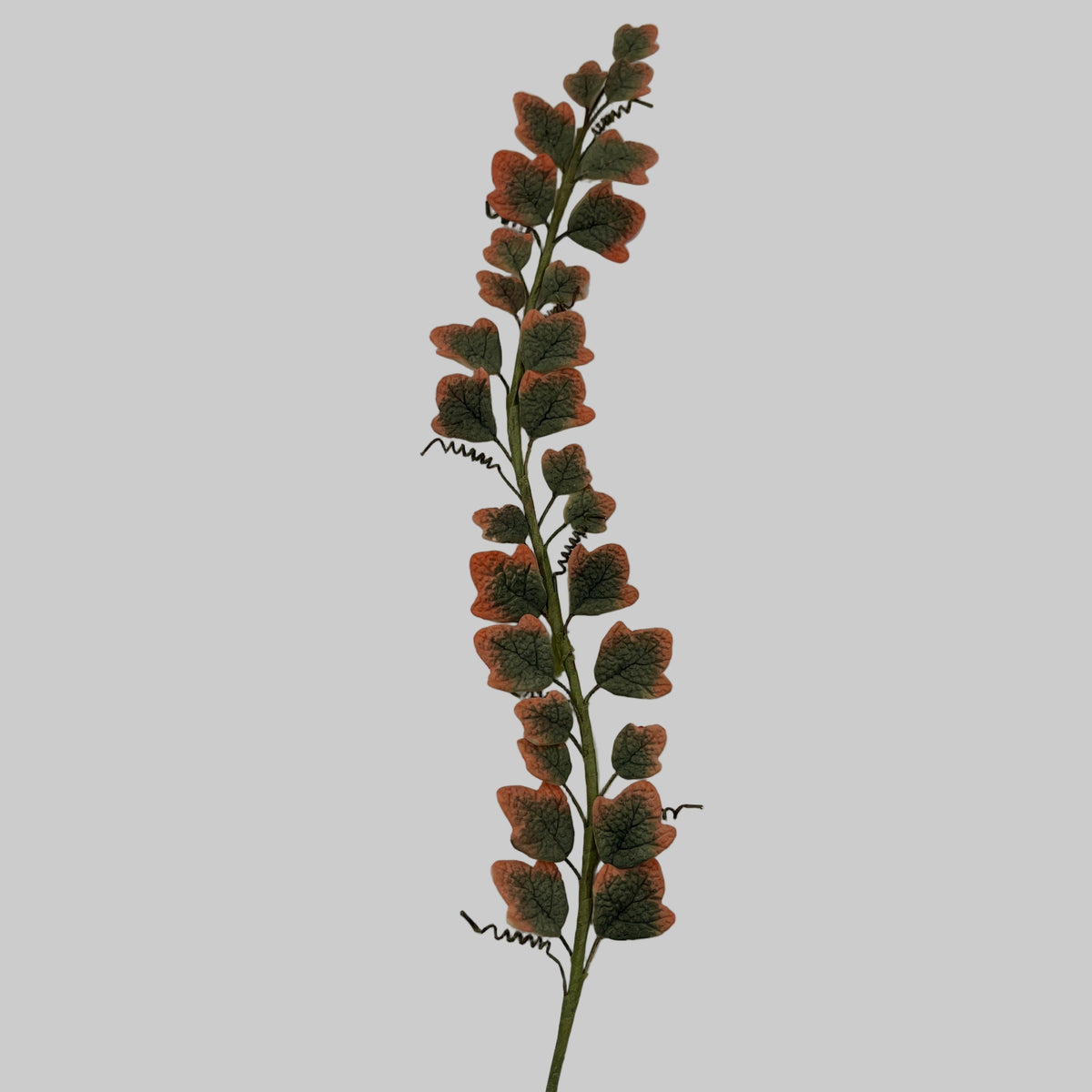 DEC073 - Climbing ivy with wired leaves