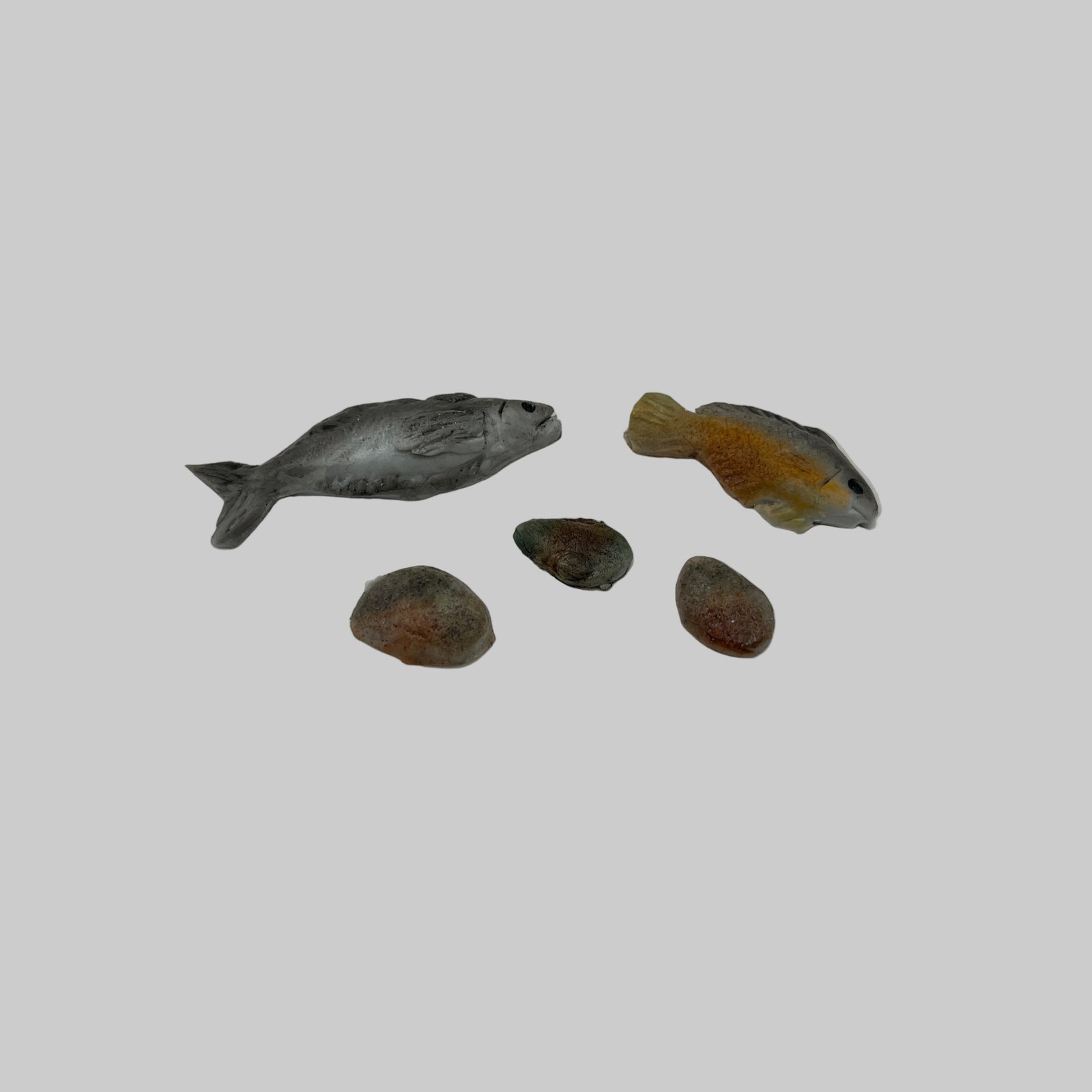 ZR042 - Fresh fish and oysters