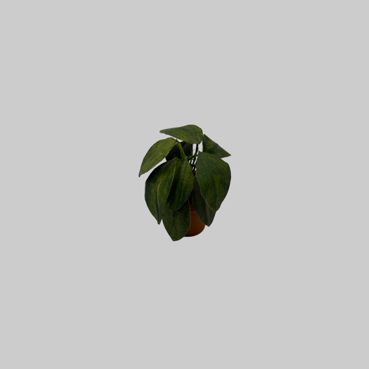 dolls house potted plant