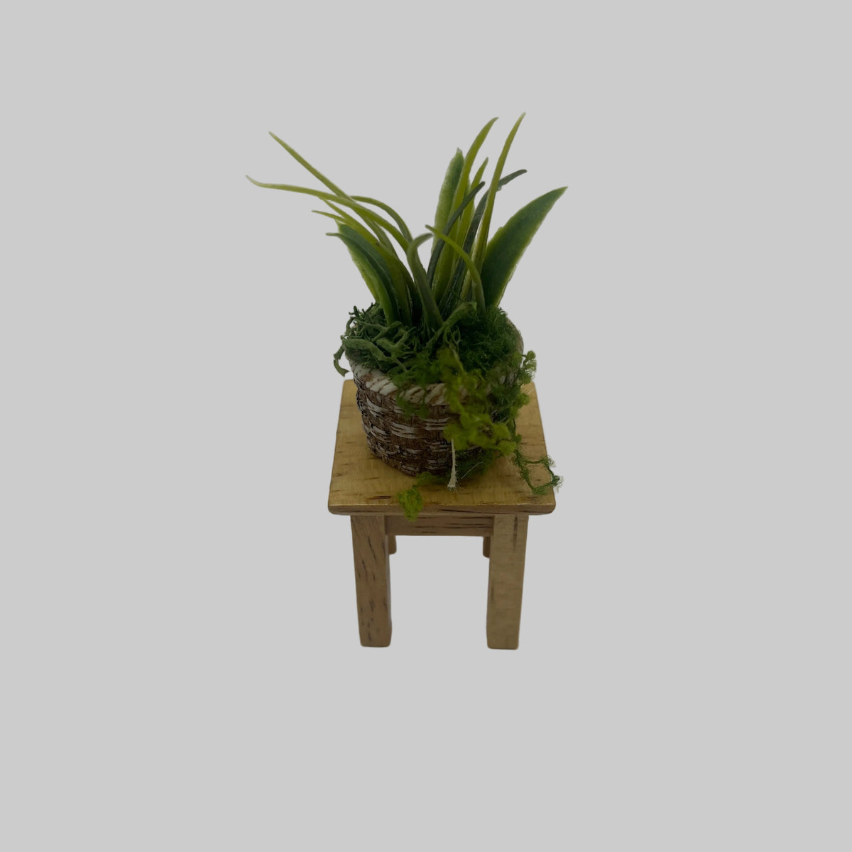 Dolls house handcrafted potted plant