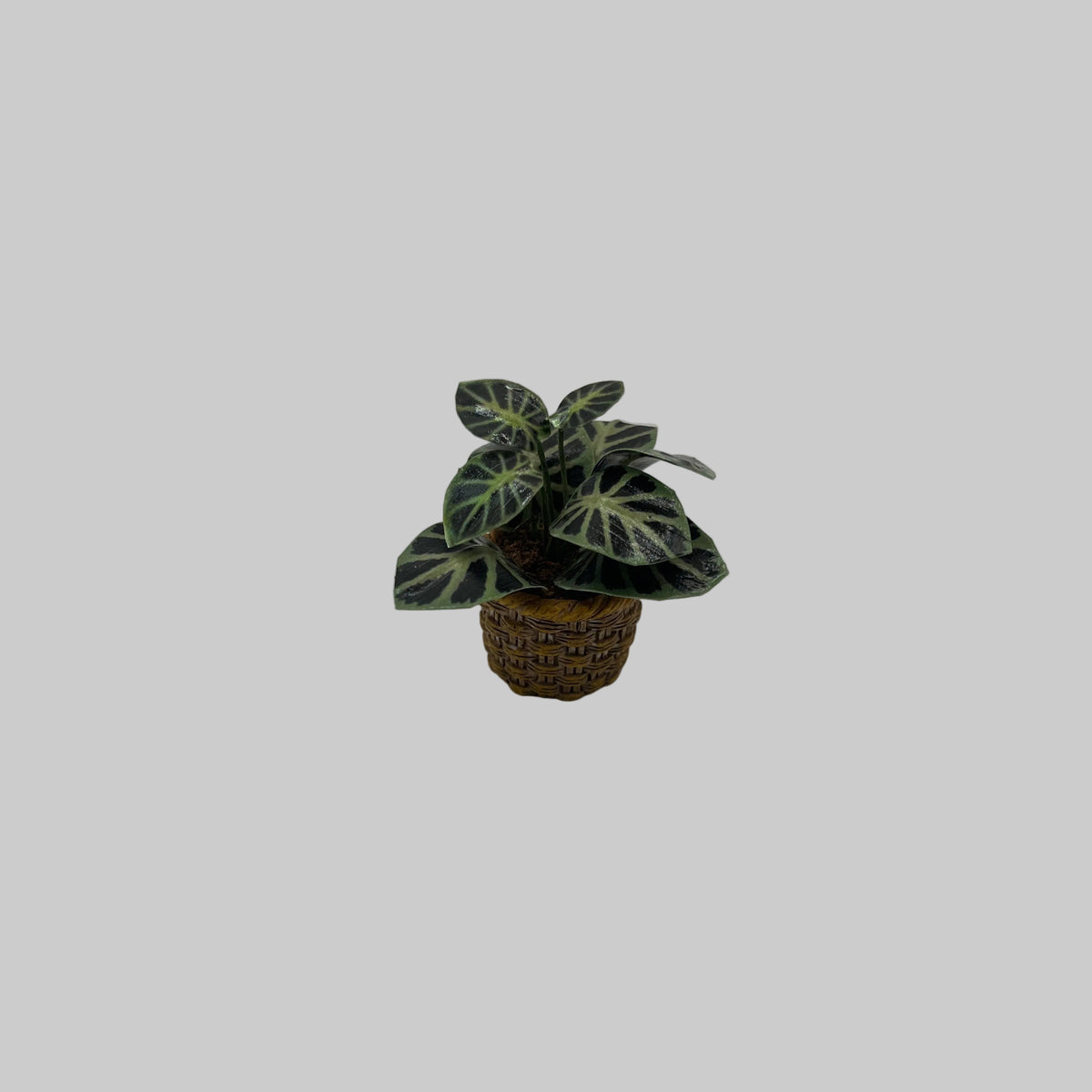 Dolls house potted plant