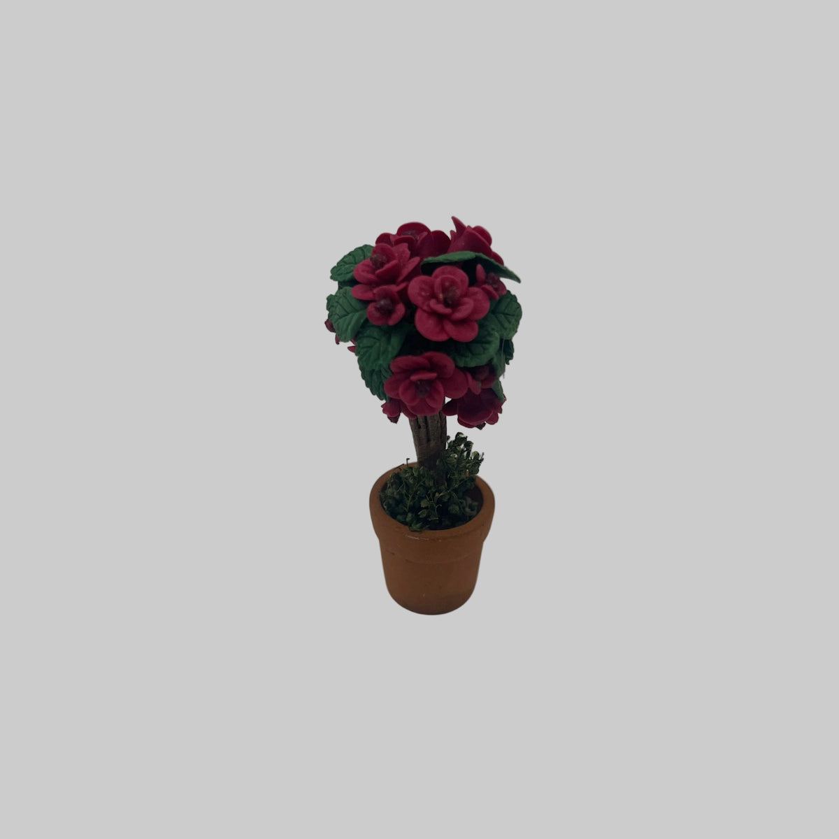 Dolls house potted rose bush