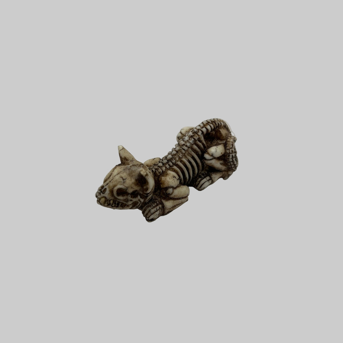 Dolls house skeleton cat