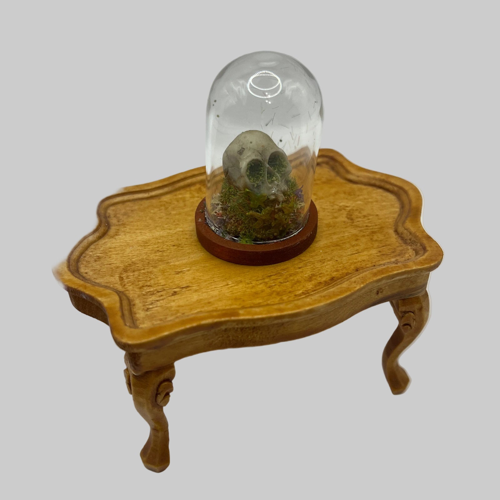 Dolls house spooky display dome