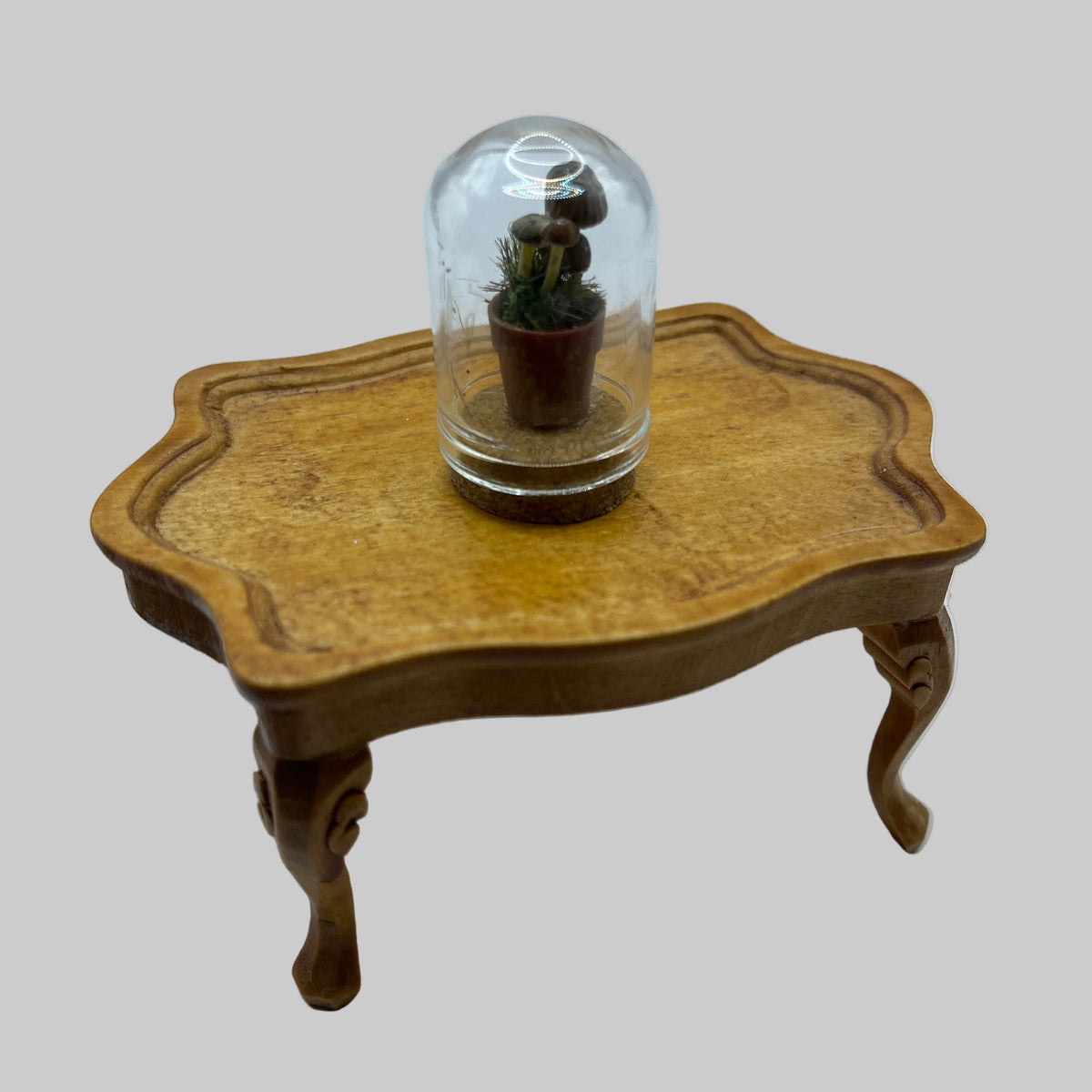 Dolls house toadstools in dome