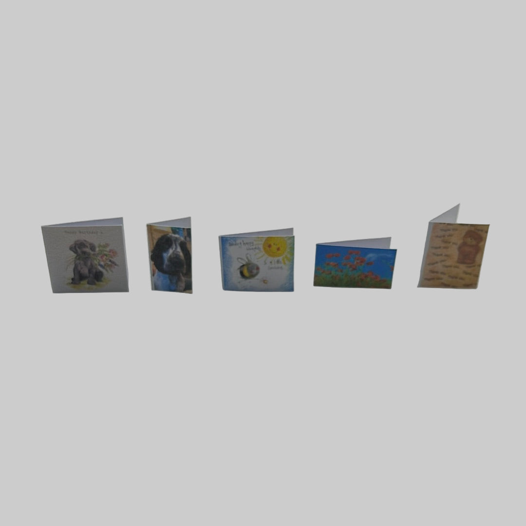ZR123 - 5 assorted birthday cards